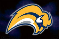 Buffalo Sabres Logo Poster Print - 36x24 size