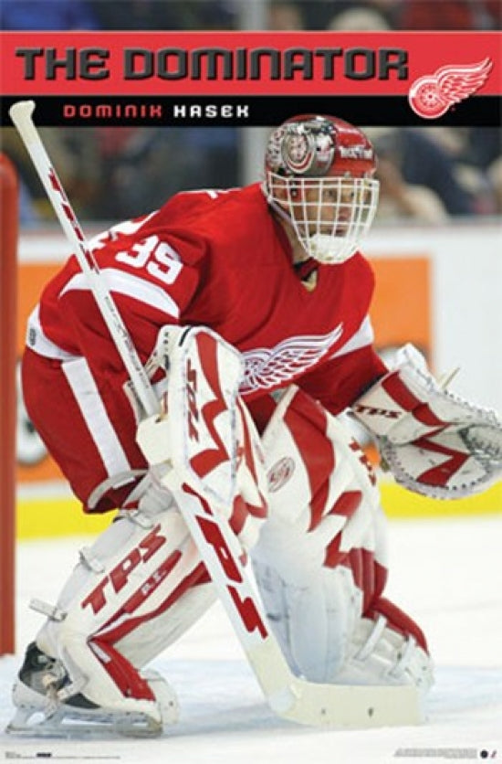Detroit Hasek Poster Print - Hockey Legend Decor