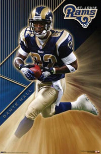 Rams Poster Print 24 x 36 - Perfect for Sports Fans