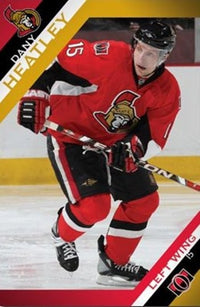 Dany Heatley Ottawa Senators Poster Print