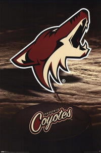 Arizona Coyotes 2008 Logo Poster Print