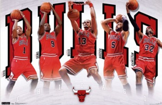 Chicago Bulls 2011 Team Poster Print showcasing the team's logo and colors.