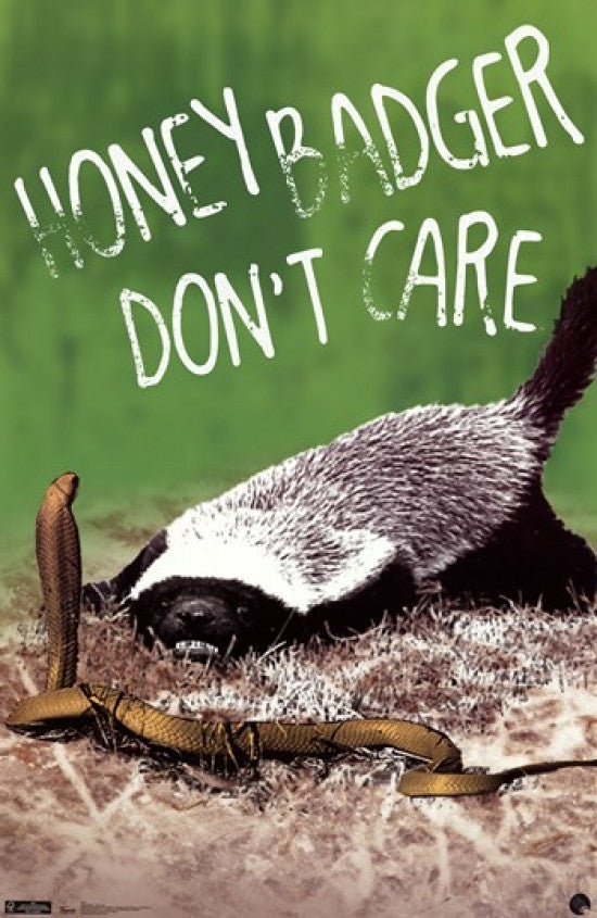Honey Badger - Don't Care Rolled Poster Print