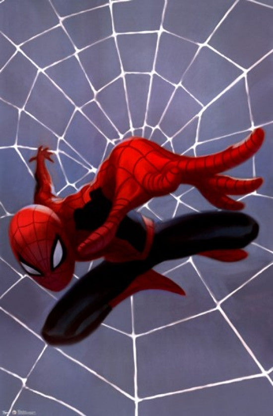 Spider-Man Minimalist Poster Print - 24x36