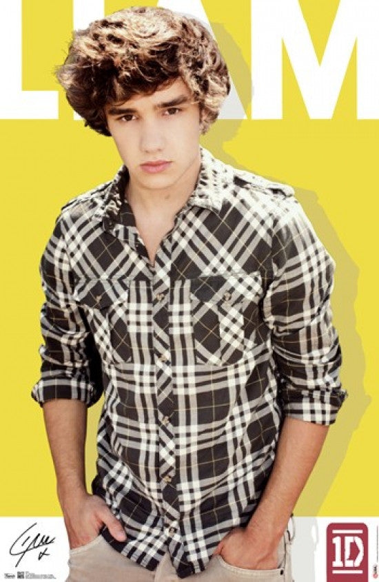 One Direction Liam Payne Poster Print - 24x36 Rolled Poster