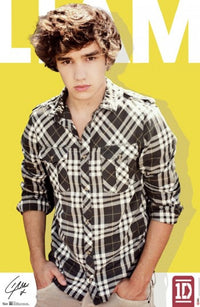 One Direction Liam Payne Poster Print - 24x36 Rolled Poster