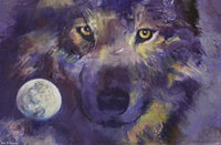 Wolf Eyes Poster Print featuring a majestic wolf's gaze.