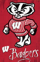 University of Wisconsin Logo 13 Poster Print - 24x36