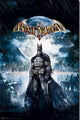 Batman - Arkham Asylum Rolled Poster Print (24x36)