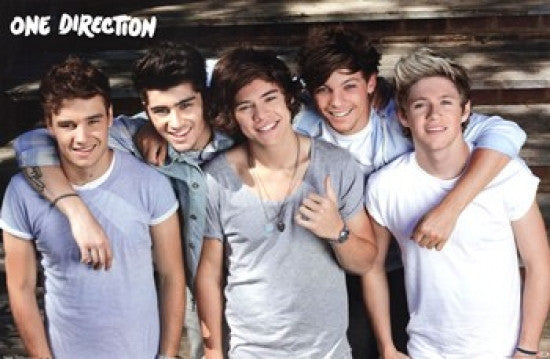 One Direction Dream Team Poster Print - Perfect for Fans