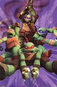 Teenage Mutant Ninja Turtles Team Poster Print 24x36
