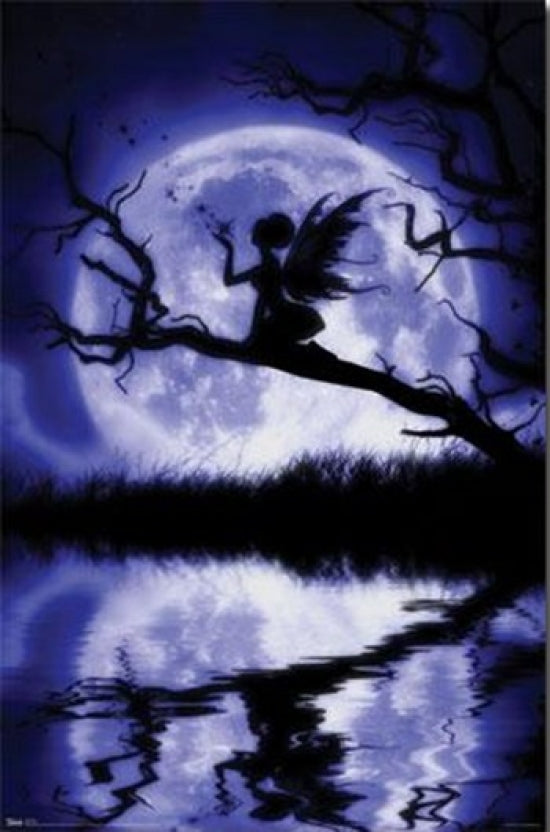 Bella Luna Poster Print showcasing a beautiful moonlit night scene.