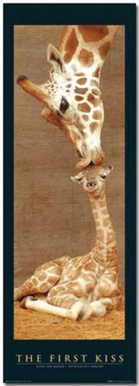 First Kiss Rolled Poster Print - Size 21x62