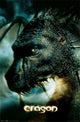 Eragon Saphira Poster Print - Rolled Artwork (22x34)
