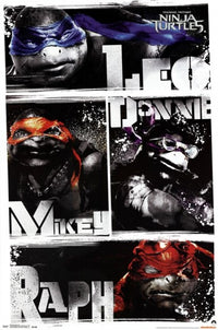 Ninja Turtles Blur Poster Print 24x36