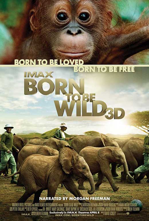 Born to Be Wild Movie Poster Print showcasing adventure and nature.