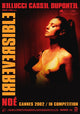 Irreversible Movie Poster Print featuring iconic film imagery.