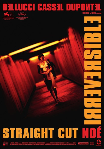 Irreversible Movie Poster Print - Captivating wall art for film enthusiasts.