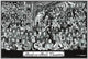 Rock & Roll Poster Print by Tom Masse - 22x32