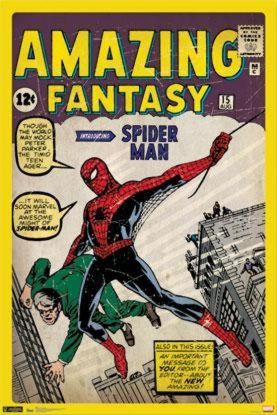 Spiderman Marvel Comic Book Cover Poster Print (22x34)