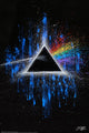 Dark Side of the Moon by Fishwick Rolled Poster Print