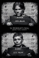 Supernatural Mug Shots Poster Print - 22x34 Rolled Art
