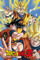 Dragon Ball Z Goku Rolled Poster Print - 24x36