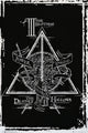 Harry Potter Deathly Hallows Graphic Poster Print - 24x36