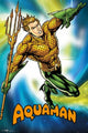 DC Comics Aquaman Rolled Poster Print - 22x34