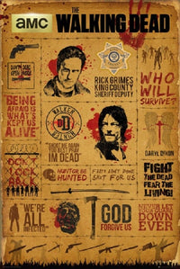 Walking Dead Infographic Poster Print - 22x34