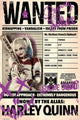 Harley Quinn Wanted Poster Print - 24x36 Rolled Poster