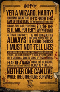 Harry Potter Quotes Rolled Poster Print - 24x36