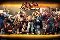 Street Fighter Characters Rolled Poster Print - 34x22