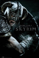 Skyrim - Attack Poster Print (24x36) | Posterazzi