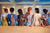 Pink Floyd Back Catalog Rolled Poster Print - 34x22