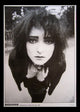Siouxsie Holland Holland Park Rolled Poster Print - 22x34