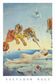 Salvador Dali Dream Caused By A Bee In Flight Poster Print