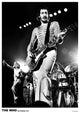 Who - Pete Townsend Live in Rotterdam 1975 Poster Print