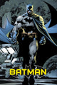 Batman Blue Poster Print (24x36) - Rolled Poster