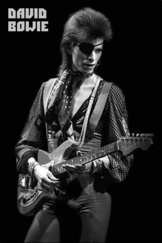 David Bowie Ziggy Stardust Live Poster Print (22x34)