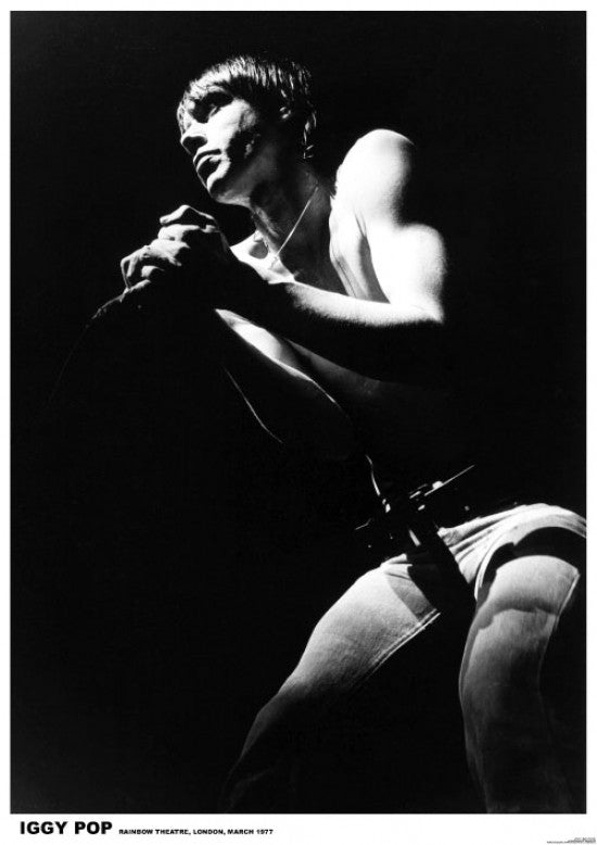 Iggy Pop Live Concert Poster Print - 22x34