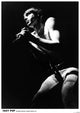 Iggy Pop Live Concert Poster Print - 22x34