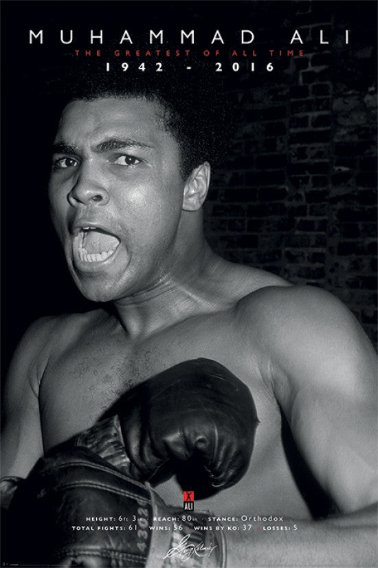 Muhammad Ali Memorial Poster Print (1942 - 2016) - 34x22
