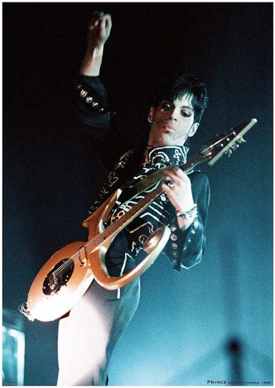 Prince NEC Live Poster Print | Rolled Poster 22x34
