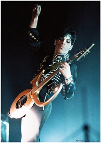 Prince NEC Live Poster Print | Rolled Poster 22x34