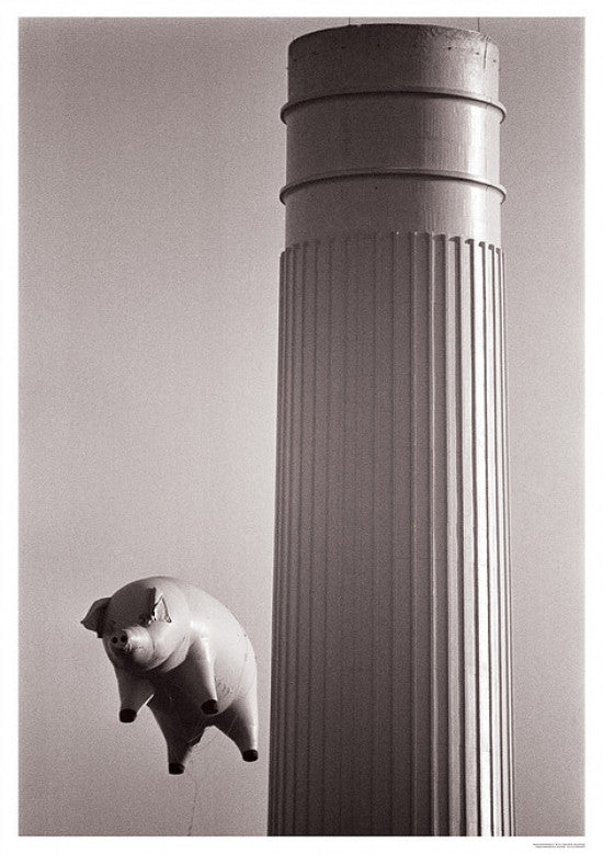 Pink Floyd Flying Pig Poster Print - 22x34 Rolled Art