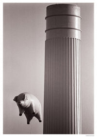 Pink Floyd Flying Pig Poster Print - 22x34 Rolled Art