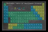 Marijuana Strains Periodic Table Rolled Poster Print