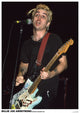 Green Day Billie Joe Armstrong Live Concert Poster Print