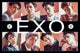 EXO Collage Kpop Rolled Poster Print - 24x36